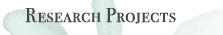 Research Projects