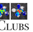 Braam Lab Courses/Journal Clubs